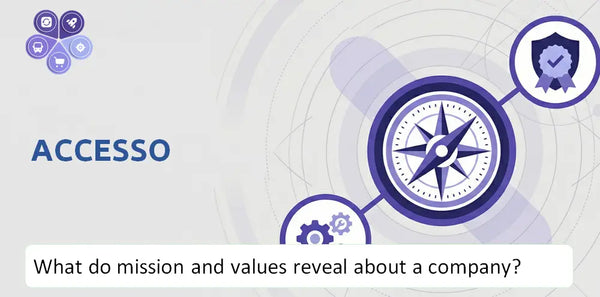 What Do the Mission, Vision, and Core Values of accesso Company Reveal to Investors?