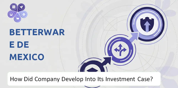 How Did Betterware de Mexico Company Develop Into Its Current Investment Case?