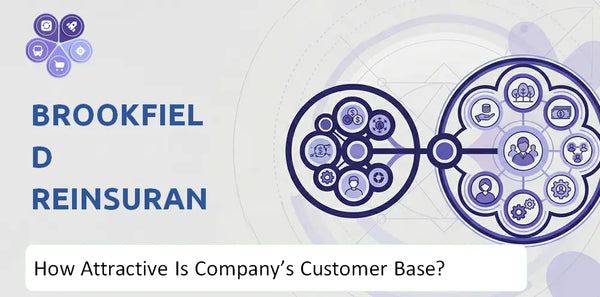 How Attractive Is Brookfield Reinsurance Company's Customer Base and Target Market?