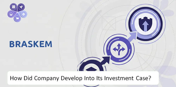 How Did Braskem Company Develop Into Its Current Investment Case?