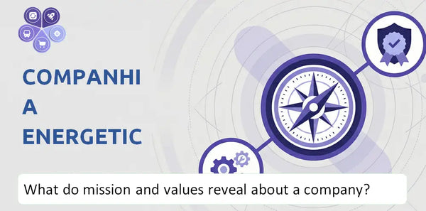 What Do the Mission, Vision, and Core Values of Companhia Energetica de Minas Gerais Company Reveal to Investors?