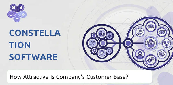 How Attractive Is Constellation Software Company's Customer Base and Target Market?