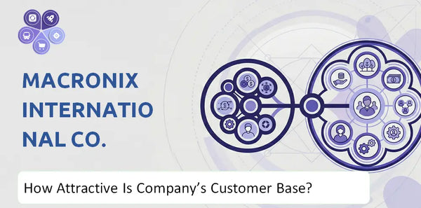 How Attractive Is Macronix International Co. Company's Customer Base and Target Market?