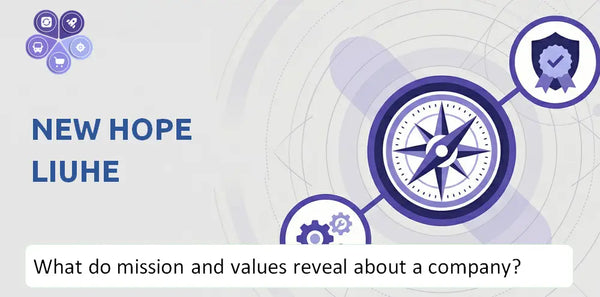 What Do the Mission, Vision, and Core Values of New Hope Liuhe Company Reveal to Investors?