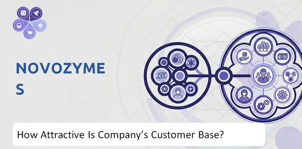 How Attractive Is Novozymes Company's Customer Base and Target Market?