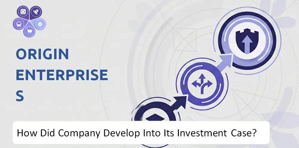 How Did Origin Enterprises Company Develop Into Its Current Investment Case?