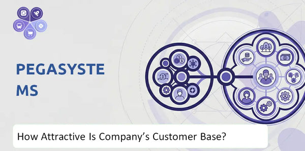 How Attractive Is Pegasystems Company's Customer Base and Target Market?