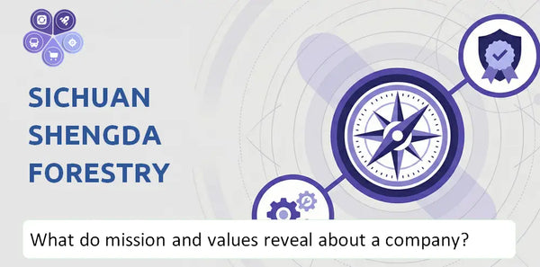What Do the Mission, Vision, and Core Values of Sichuan Shengda Forestry Industry Co. Company Reveal to Investors?