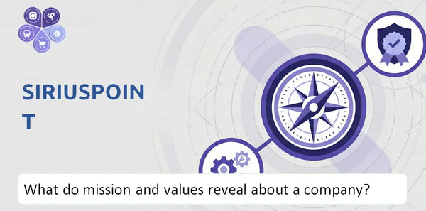 What Do the Mission, Vision, and Core Values of SiriusPoint Company Reveal to Investors?