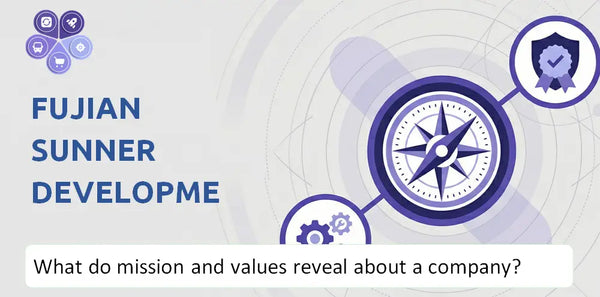 What Do the Mission, Vision, and Core Values of Fujian Sunner Development Company Reveal to Investors?