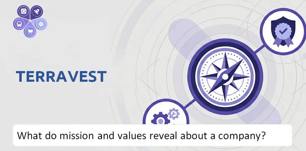 What Do the Mission, Vision, and Core Values of TerraVest Company Reveal to Investors?