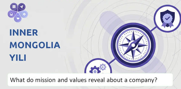 What Do the Mission, Vision, and Core Values of Inner Mongolia Yili Company Reveal to Investors?