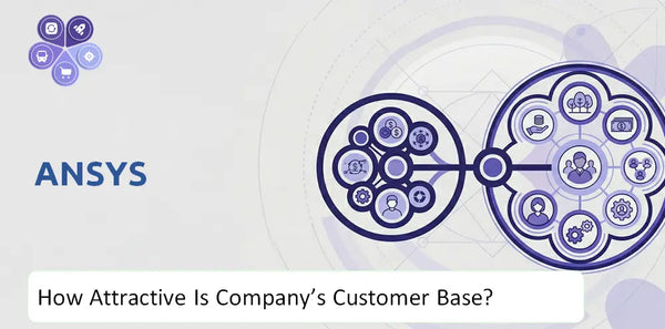 How Attractive Is Ansys Company's Customer Base and Target Market?