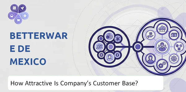 How Attractive Is Betterware de Mexico Company's Customer Base and Target Market?