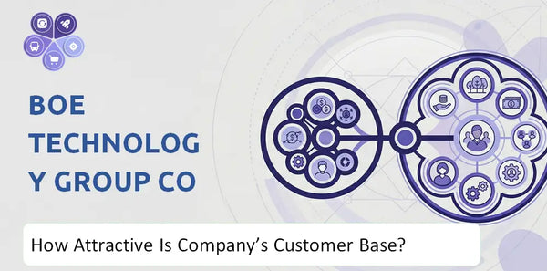 How Attractive Is BOE Technology Group Co Company's Customer Base and Target Market?