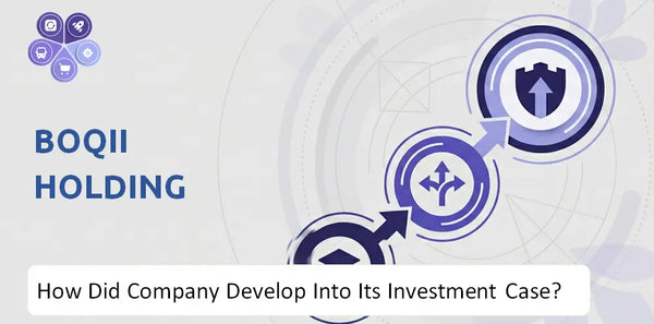 How Did Boqii Holding Company Develop Into Its Current Investment Case?