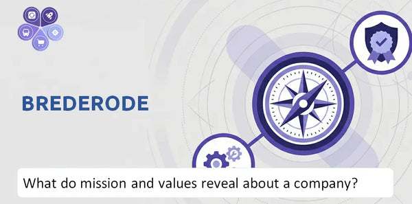 What Do the Mission, Vision, and Core Values of Brederode Company Reveal to Investors?