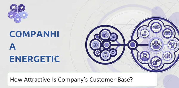 How Attractive Is Companhia Energetica de Minas Gerais Company's Customer Base and Target Market?
