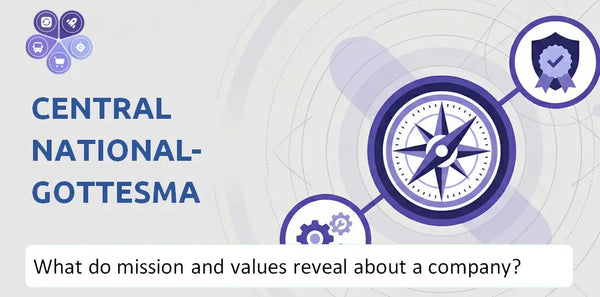 What Do the Mission, Vision, and Core Values of Central National-Gottesman Company Reveal to Investors?