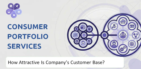 How Attractive Is Consumer Portfolio Services Company's Customer Base and Target Market?