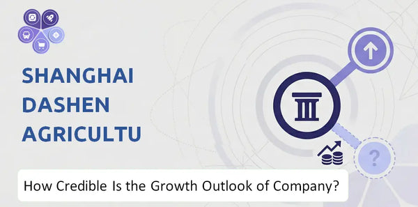 How Credible Is the Growth Outlook of Shanghai Dashen Agriculture Finance Technology Company?
