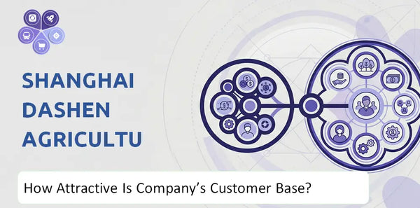 How Attractive Is Shanghai Dashen Agriculture Finance Technology Company's Customer Base and Target Market?