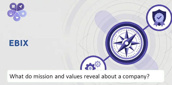 What Do the Mission, Vision, and Core Values of Ebix Company Reveal to Investors?