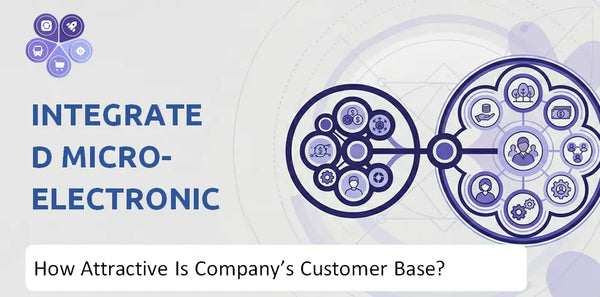 How Attractive Is Integrated Micro-Electronics Company's Customer Base and Target Market?