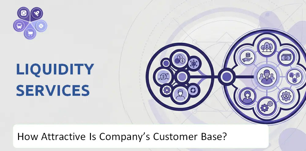 Liquidityservices Company Target Market Analysis