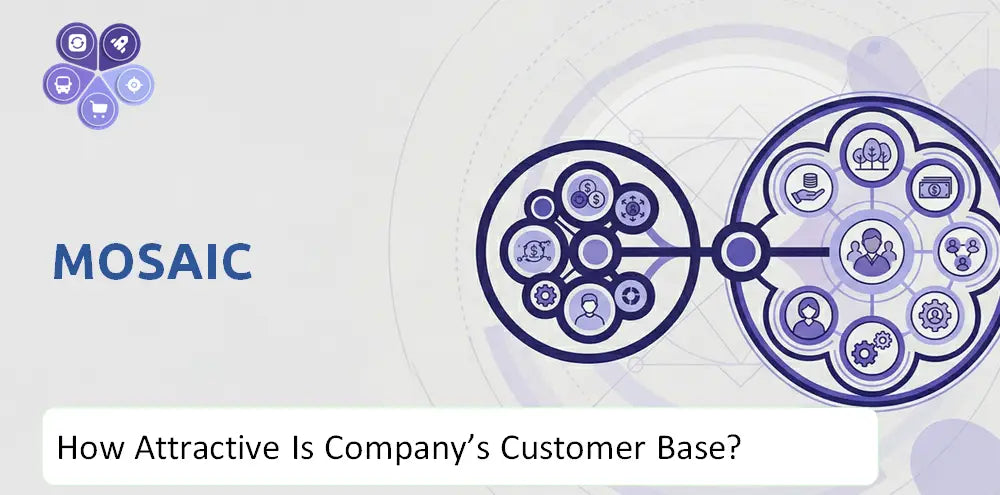 Mosaicco Company Target Market Analysis