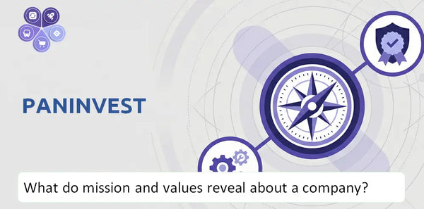 What Do the Mission, Vision, and Core Values of Paninvest Company Reveal to Investors?