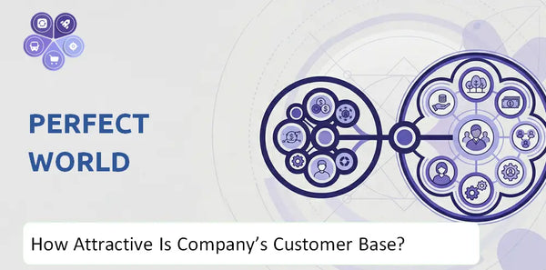 How Attractive Is Perfect World Company's Customer Base and Target Market?