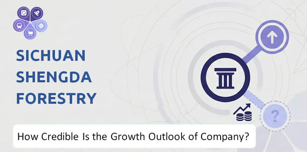 How Credible Is the Growth Outlook of Sichuan Shengda Forestry Industry Co. Company?