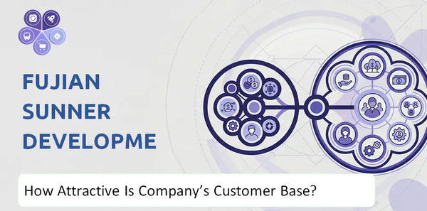 How Attractive Is Fujian Sunner Development Company's Customer Base and Target Market?
