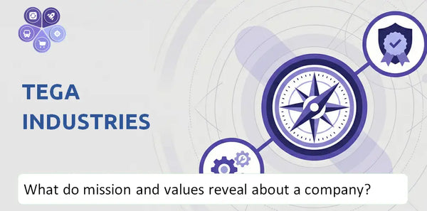 What Do the Mission, Vision, and Core Values of Tega Industries Company Reveal to Investors?