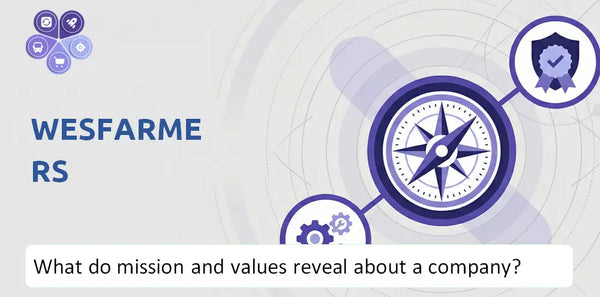 What Do the Mission, Vision, and Core Values of Wesfarmers Company Reveal to Investors?