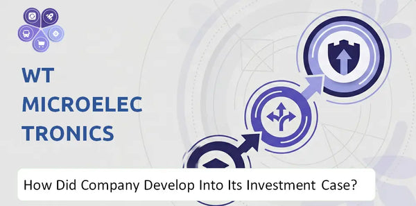How Did WT Microelectronics Company Develop Into Its Current Investment Case?