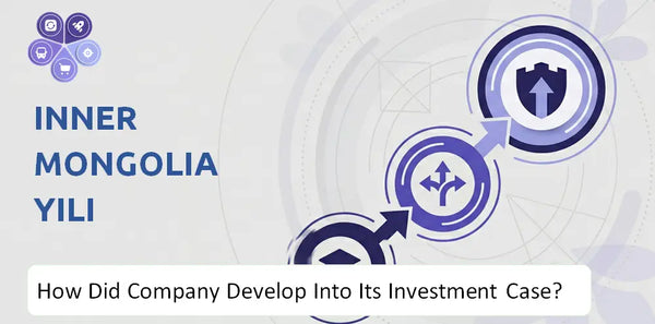 How Did Inner Mongolia Yili Company Develop Into Its Current Investment Case?