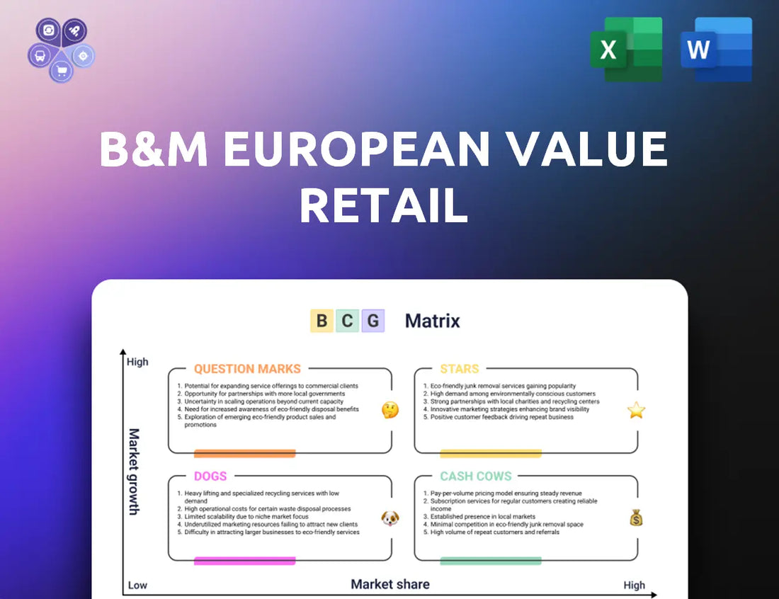 Bmstores Bcg Matrix