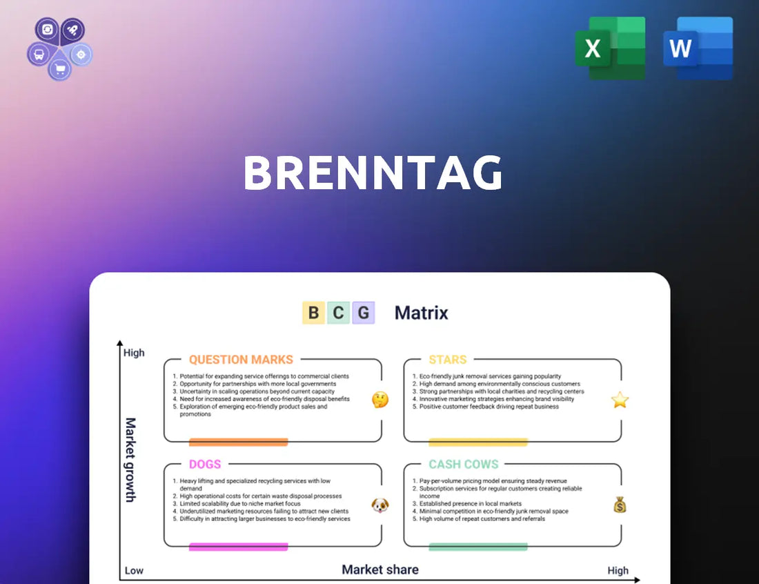Brenntag Bcg Matrix