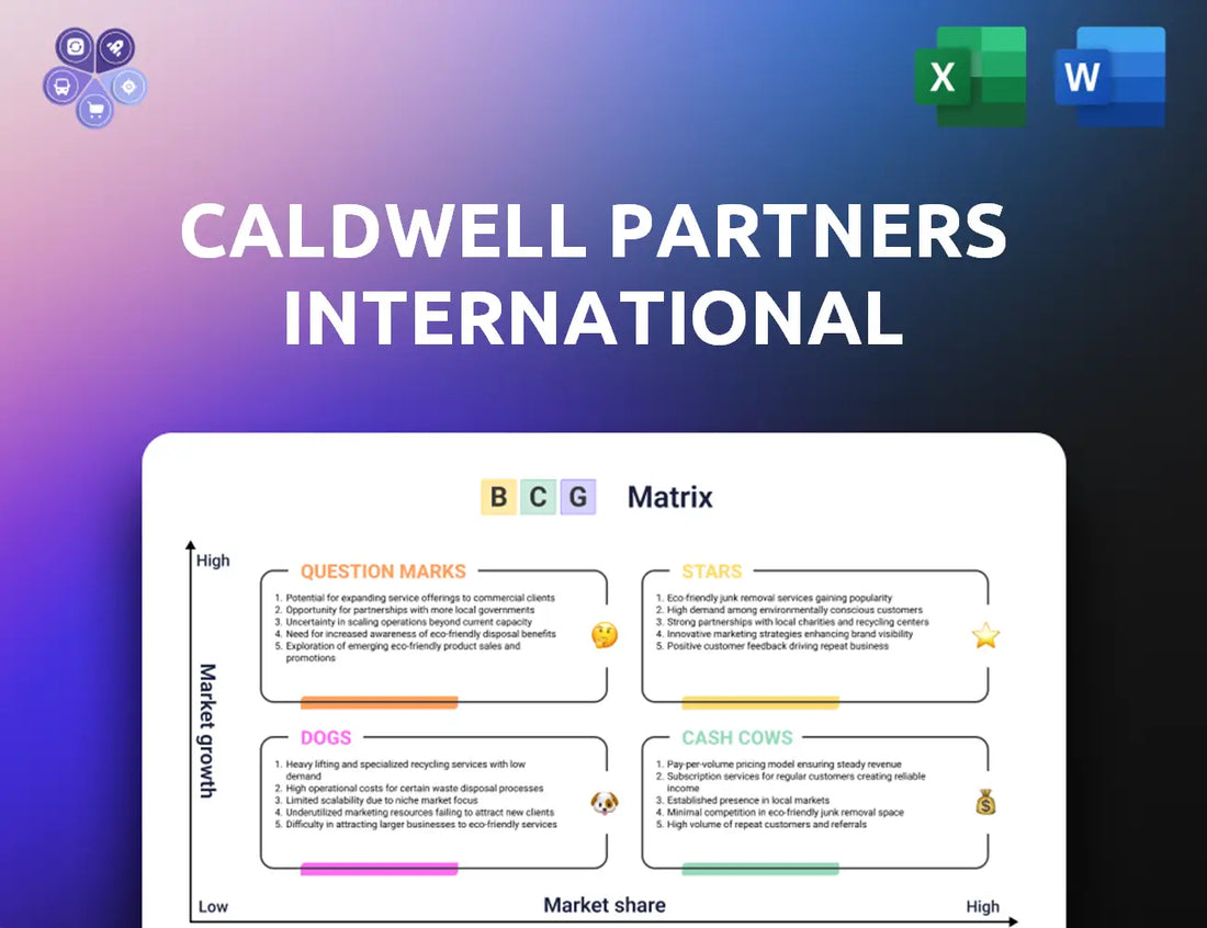 Caldwellpartners Bcg Matrix