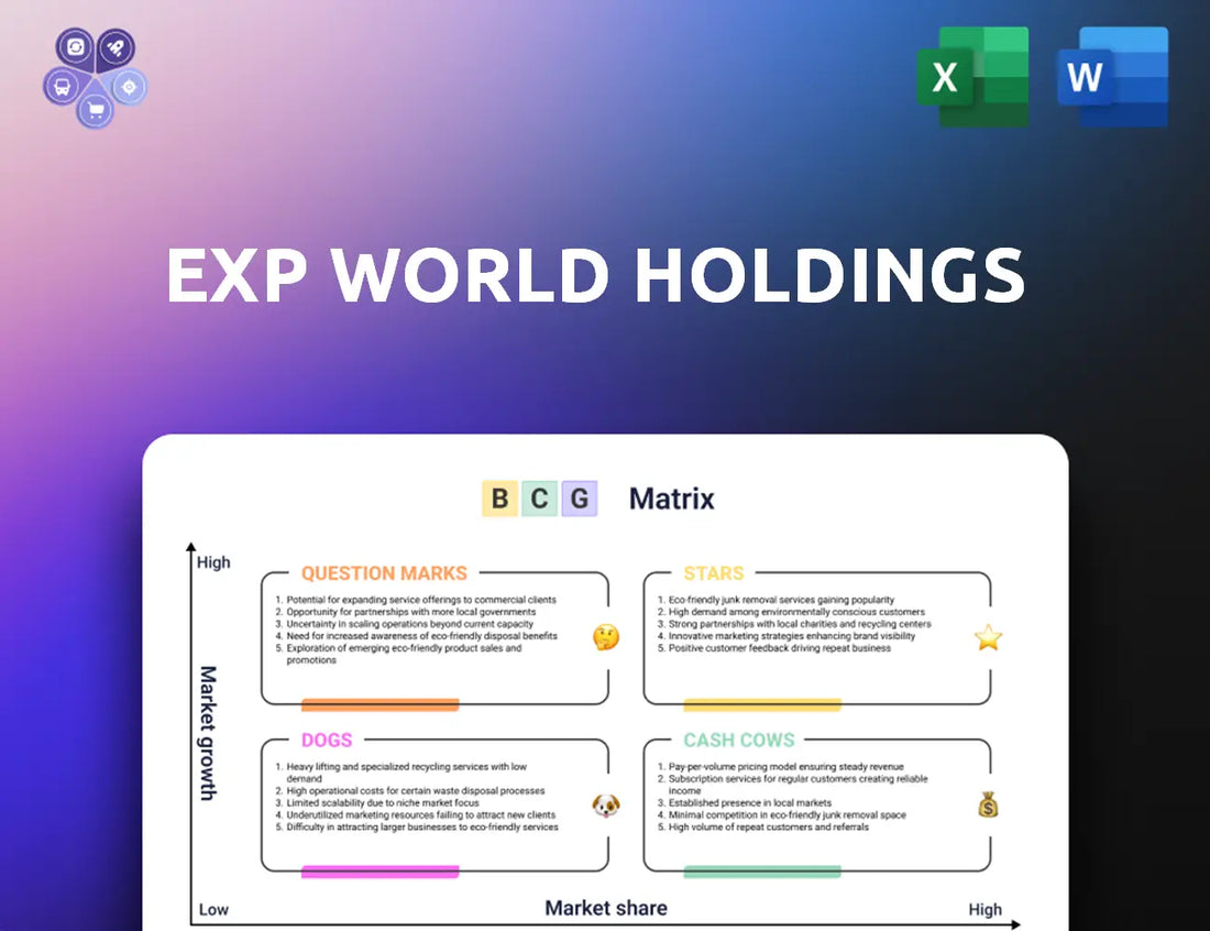 Expworldholdings Bcg Matrix
