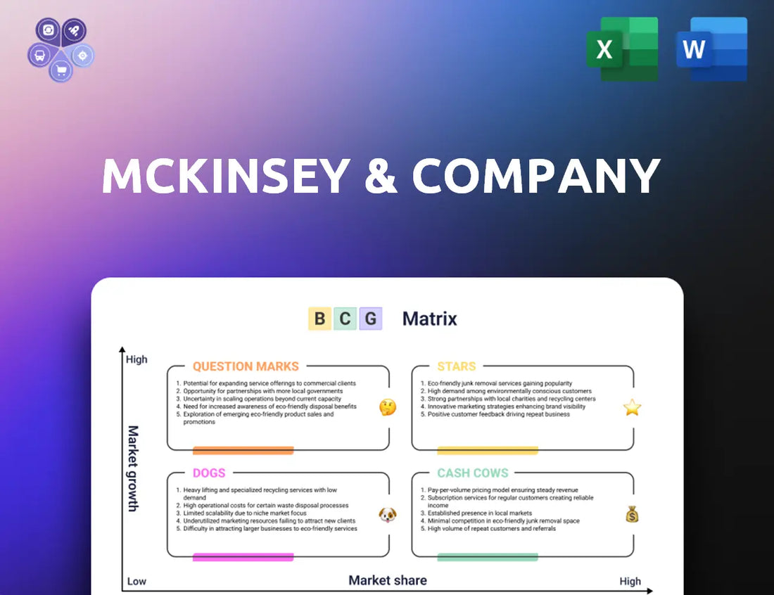 Mckinsey Bcg Matrix
