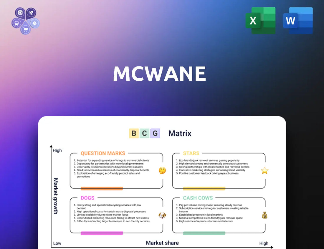 Mcwane Bcg Matrix