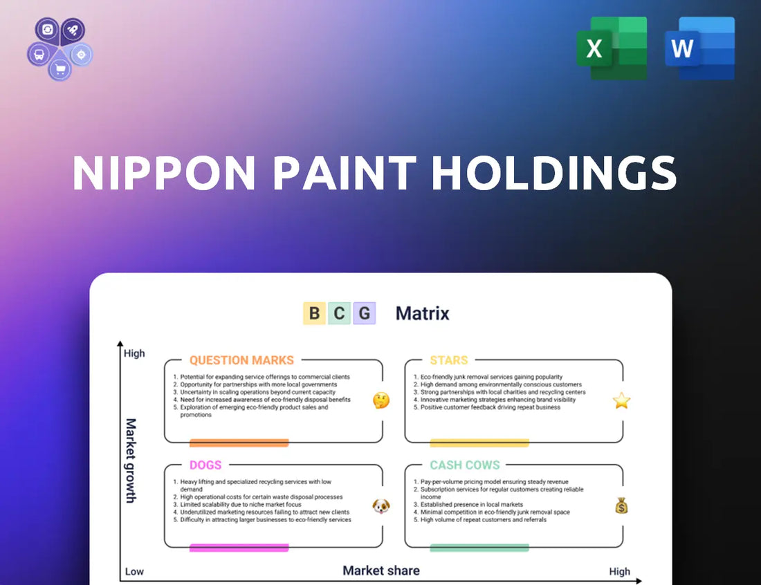 Nipponpaint Holdings Bcg Matrix