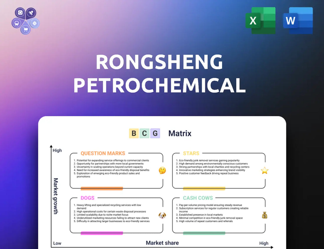 Rongsheng Bcg Matrix