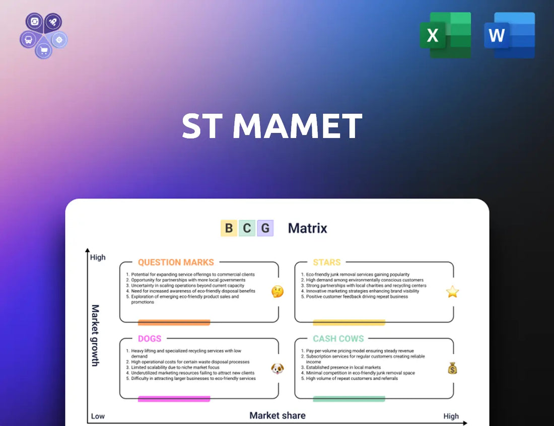 Saintmamet Bcg Matrix