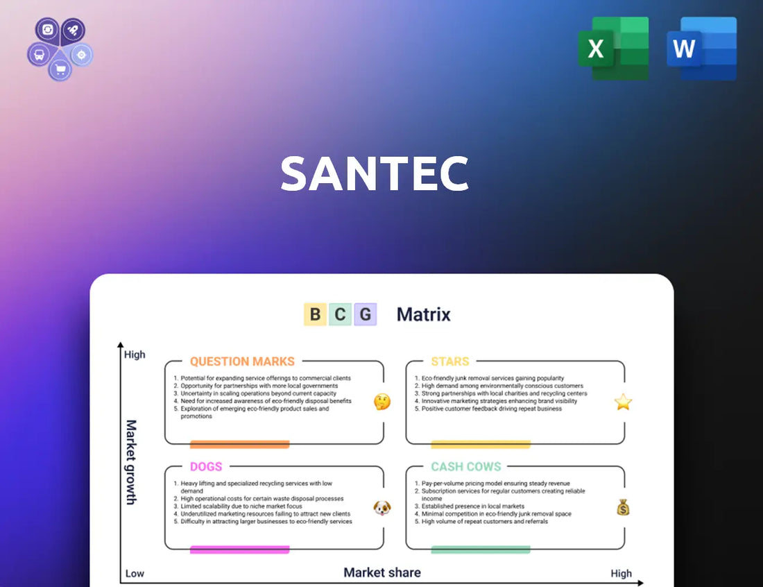 Santec Bcg Matrix