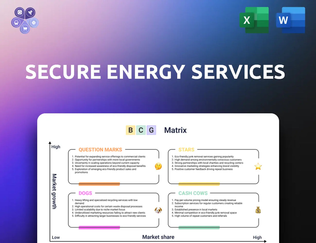 Secure Energy Bcg Matrix
