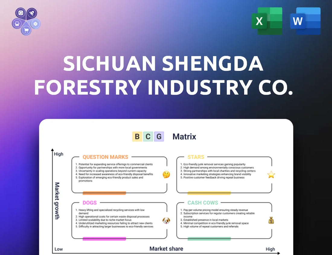 Shengdawood Bcg Matrix